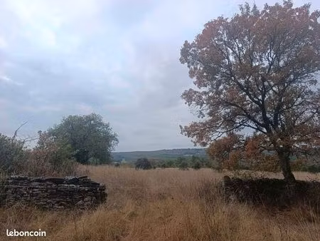 terrain truffier 3.8ha