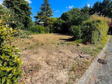 terrain constructible