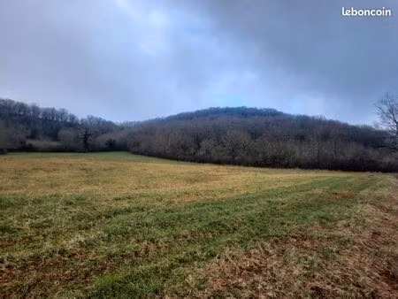 terrain 1 234 m² loubressac