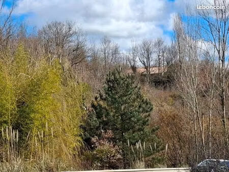 terrain de loisir boisé