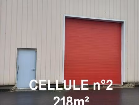 local activé 215m²