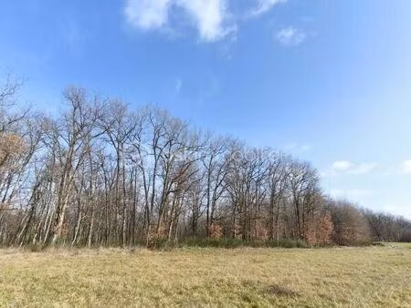 forêt 825 m² monclar de quercy