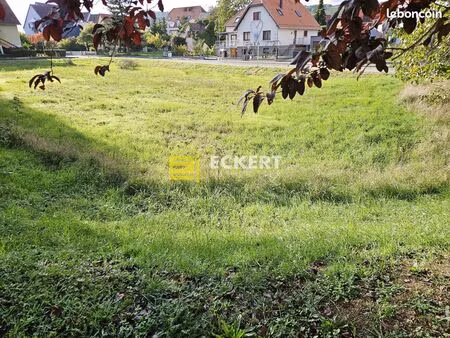 terrain 421 m² molsheim