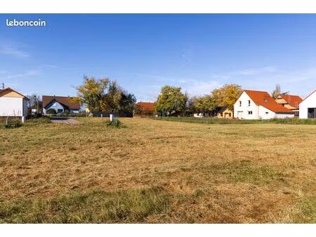 terrain 482 m² blodelsheim