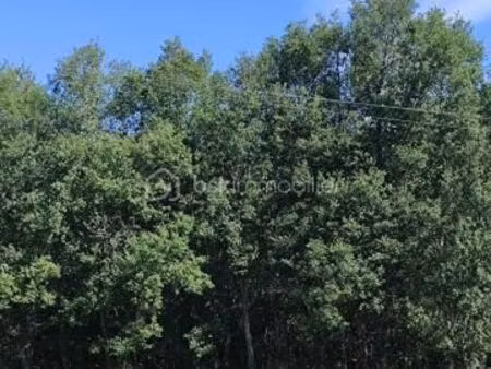 terrain 1 821 m² verlhac tescou