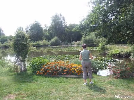 terrain de loisire avec maisonnette et étang