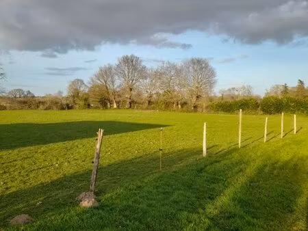 terrain constructible