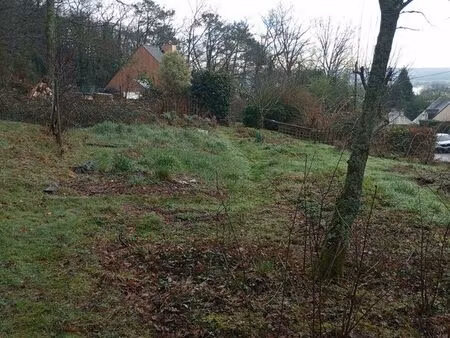 terrain constructible