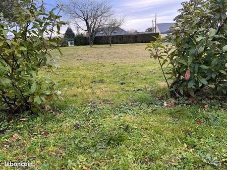 terrain constructible