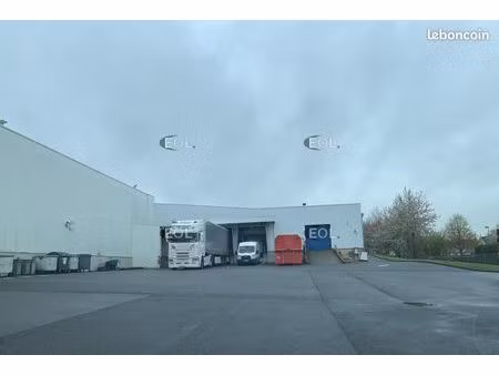 local bureaux 6 993 m²