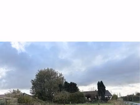 terrain constructible