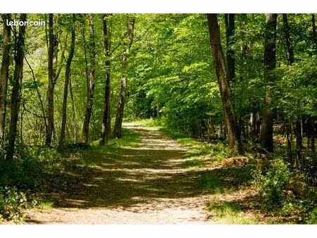 recherche parcelle boisé avec des feuillus