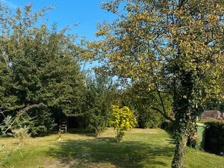 terrain constructible