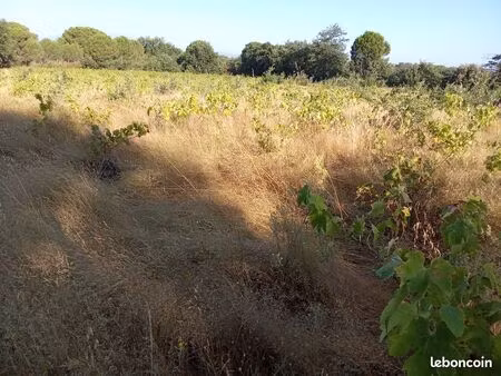 vends terrain agricole