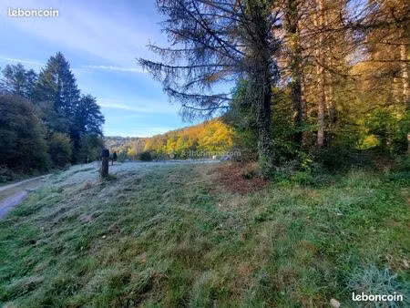 terrain verger 17 are