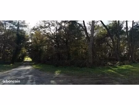 grande parcelle boisée sur moustoir-ac