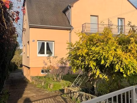 maison bi-famille mitoyenne - rue de la ganzau à strasbourg sud