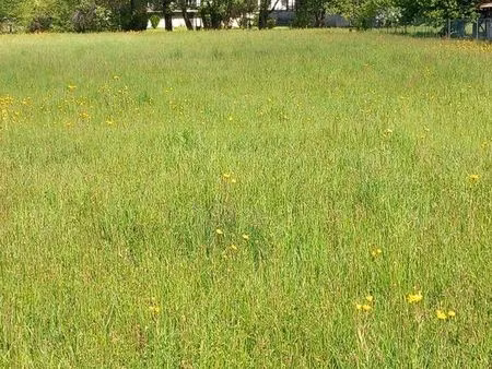 terrain 810 m² grignon