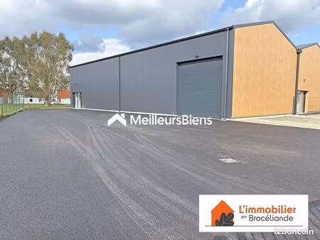 local d'activité 250 m²