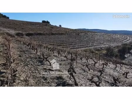 terrain agricole 11 020 m² rasigueres