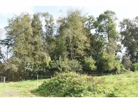 terrain 1000 m² pretot vicquemare