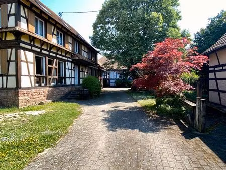 maison 5 pièces - 140 m² - 67640 fegersheim