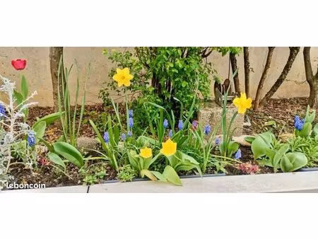 beau f3 avec terrasse et jardin