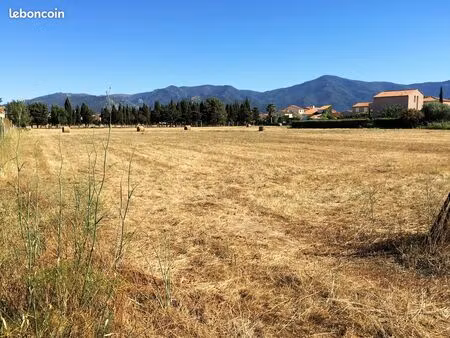 terrain palau-del-vidre