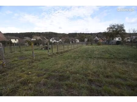 terrain de 2236 m2 au prix de 253000 euros (11300 euros de l'are)