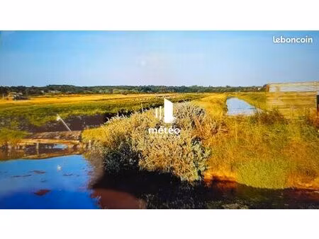 terrain 22920 m² jard sur mer