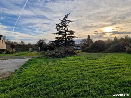 terrain 1 257 m² champtoce sur loire
