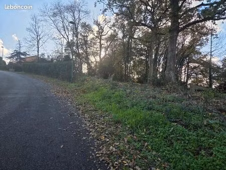 terrain a mareuil sur lay