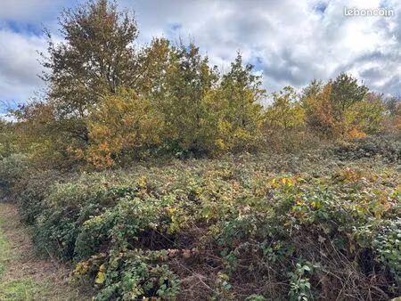 terrain agricole à vendre