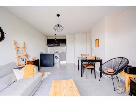 appartement t2 loué en exclusivité sur st alban