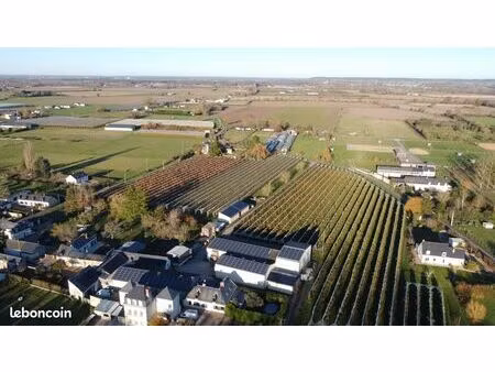 exploitation à vendre dans le maine-et-loire (saint-lambert-des-levées) – exploitation arb