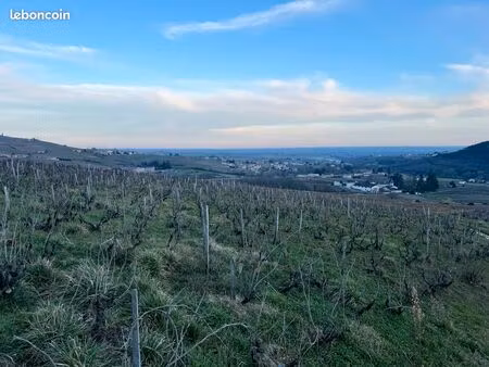 fermage vigne aop juliénas 17 ares