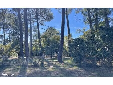 terrain 1 000 m² bouliac