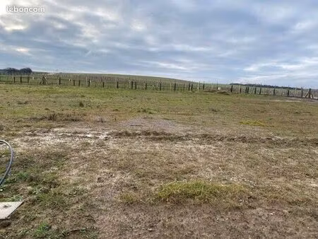 terrain à bâtir- wimille