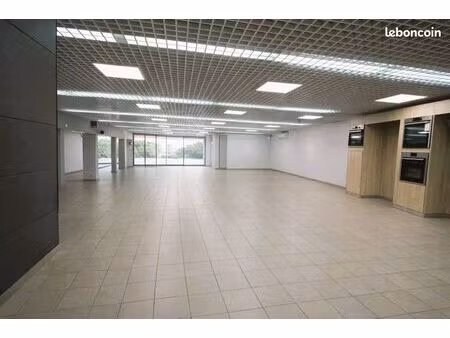 local 420 m² salies-de-béarn