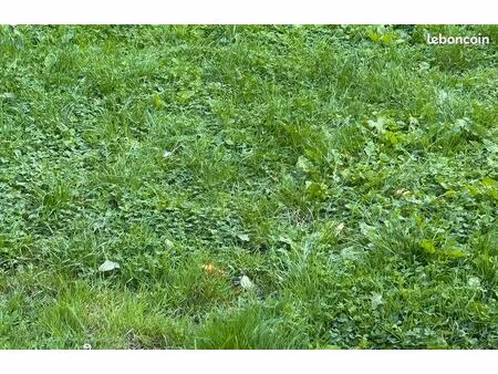 terrain constructible 5500m2