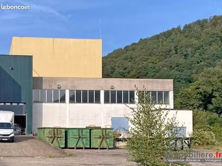 local logistique 7 176 m²