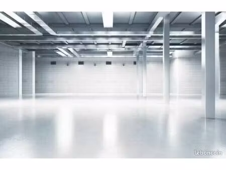 local industriel 7 538 m²