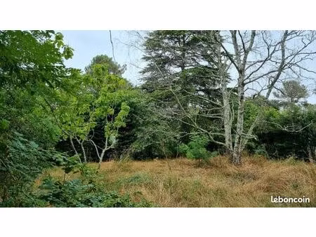 terrain 620 m² bordeaux