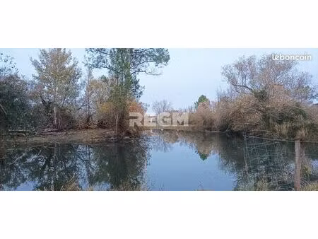 terrain 123886 m² queyrac