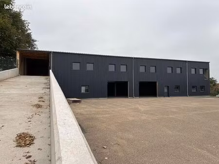 local d'activité 650 m²
