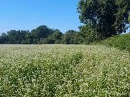 recherche terres agricoles