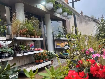 cession de fonds fleuriste st-rémy-lès-chevreuse (78) pour cause de départ en retraite en 