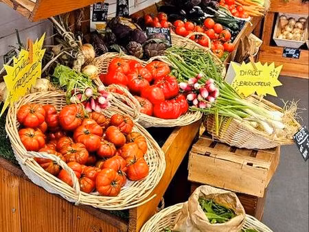 ◊ fonds de commerce rentable – marseillan centre-ville