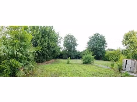 terrain arboré bruges lac