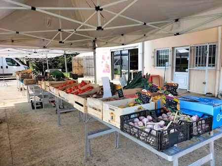vente locaux professionnels 30 m² à valaurie (26230)  89 000 €